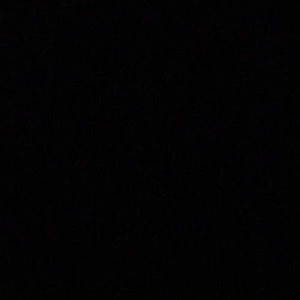 Meet your Posher, Maddie